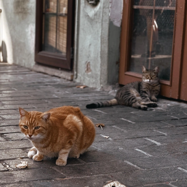 Источник: Юлия Гринберг