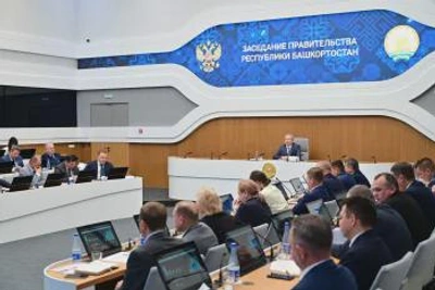 В Башкортостане внедряют методы диагностики плода и новорождённых