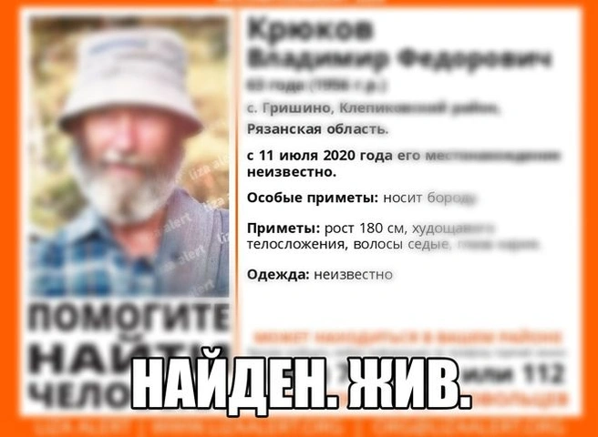 Пропавшего под Клепиками пенсионера нашли живым | ya62.ru
