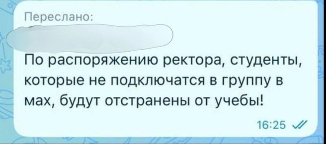 Источник: Vdk_tiger_vladivostok25 / T.me