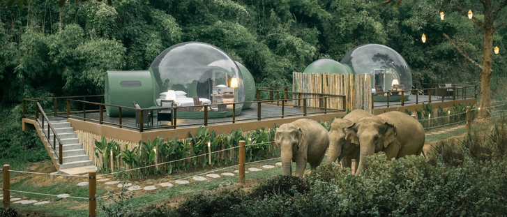 Отель-"пузырь" в джунглях Таиланда (фото 0)