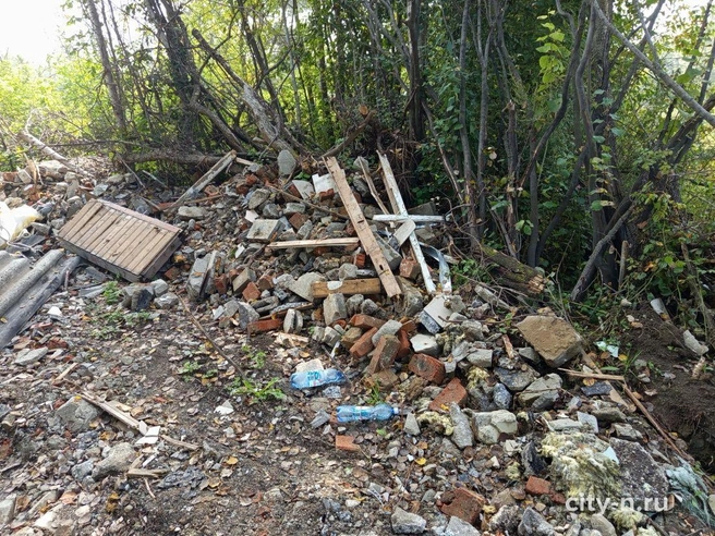 Обо всех подобных фактах сообщайте в адрес Комитета охраны окружающей среды и природных ресурсов или по номеру 45-14-30 | Источник: www.city-n.ru