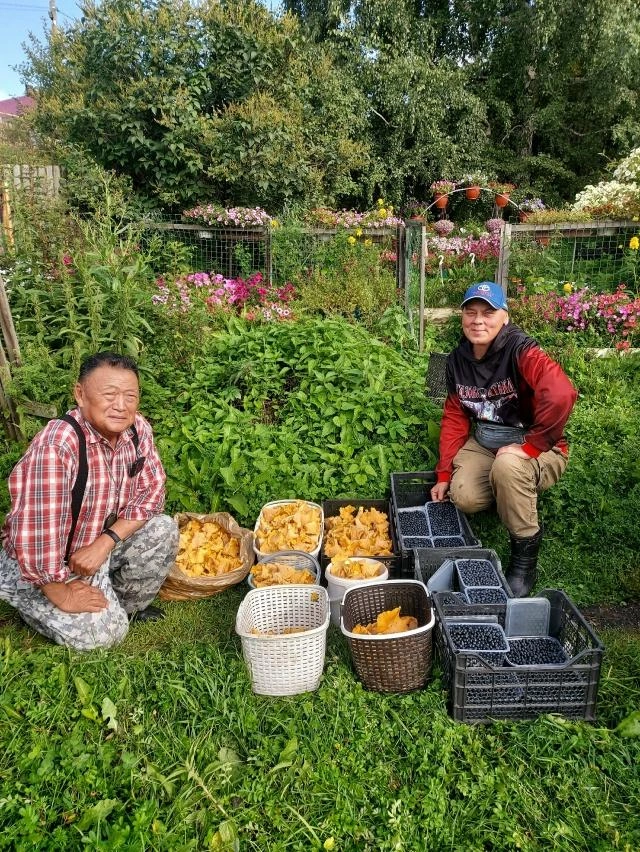 Источник: Михаил Пак / «Уральский яжегрибник» / Vk.com