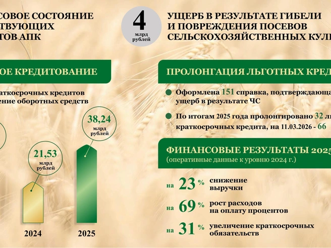 Объем льготных кредитов для аграриев стал самым большим за три года | Источник: министерство сельского хозяйства Ростовской области