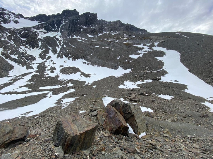 Источник: Андрей Виноградов