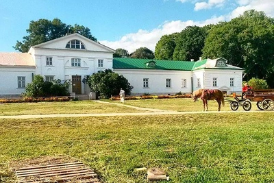 Выставки Ясной Поляны стали бесплатными до конца 2025 года