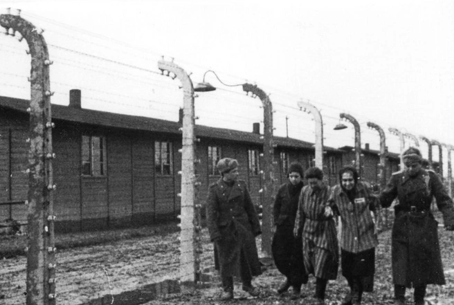 Побег из концлагеря был почти фантастикой&nbsp;— обычно территорию окружали несколько рядов колючей проволоки, в том числе под напряжением | Источник: goskatalog.ru