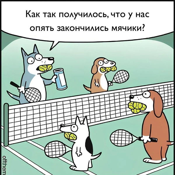 Источник: соцсети