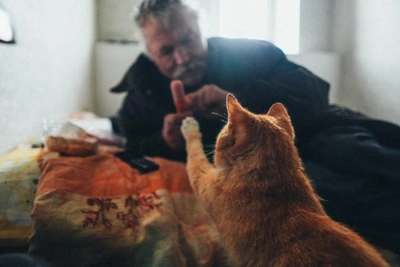 Забавные питомцы из омских объявлений