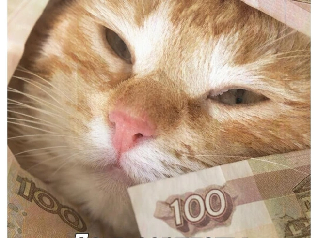 Кого не радуют сообщения о зарплате? | Источник: Полина Авдошина / Городские медиа
