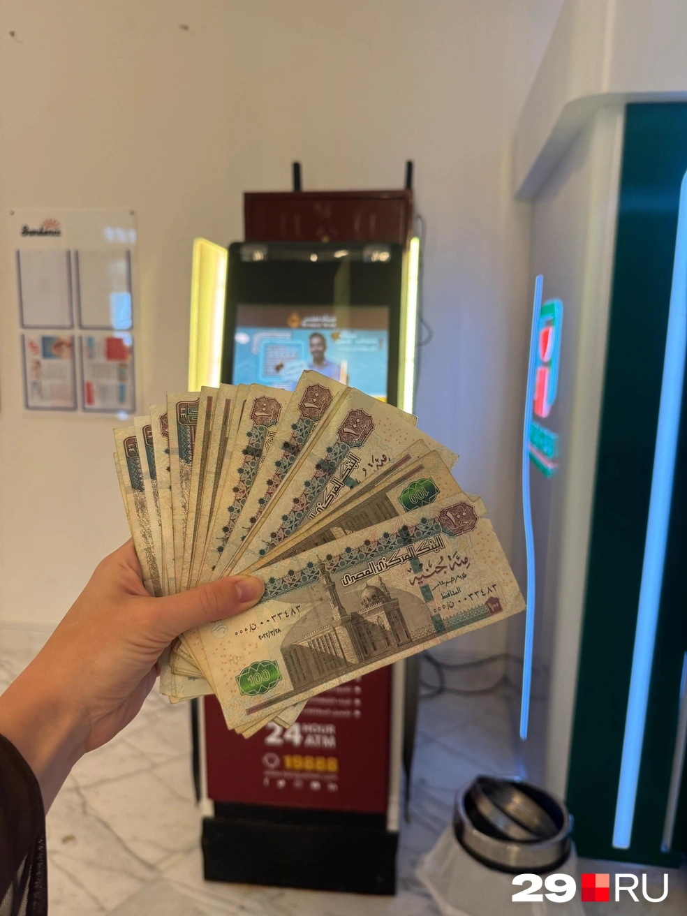 Египетские купюры | Источник: Валерия Богатырева / 29.RU