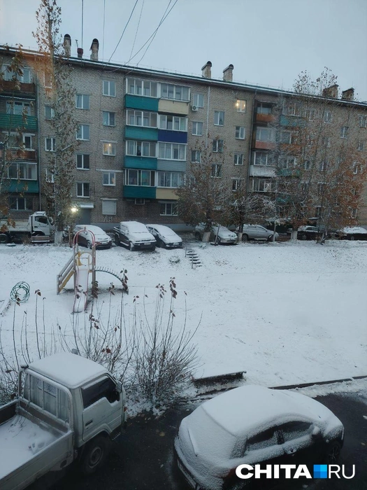 Снег в Могоче | Источник: Ольга