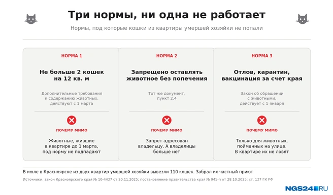 Объясняем в схемах и мемах | Источник: Геннадий Денисов / NGS24.RU