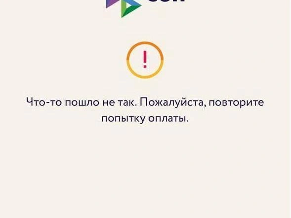 Пассажиры столкнулись с техническими неполадками при оплате. | Источник: читатель E1.RU