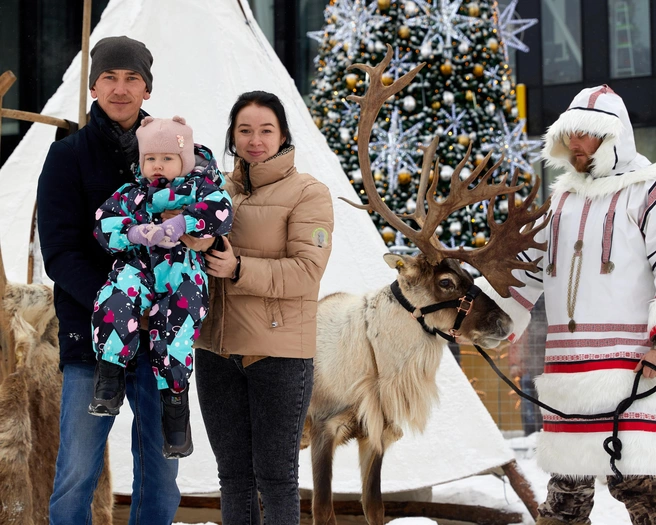 Семья северных оленей будет гостить в Самаре по 8 января | Источник: ТК «Гудок»