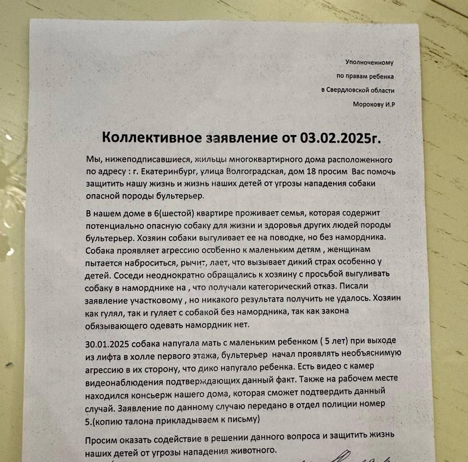 Соседи обратились к уполномоченному по правам ребенка | Источник: читатель E1.RU