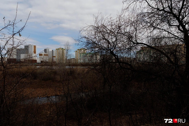 Весь берег застроен домами | Источник: Ирина Шарова / 72.RU