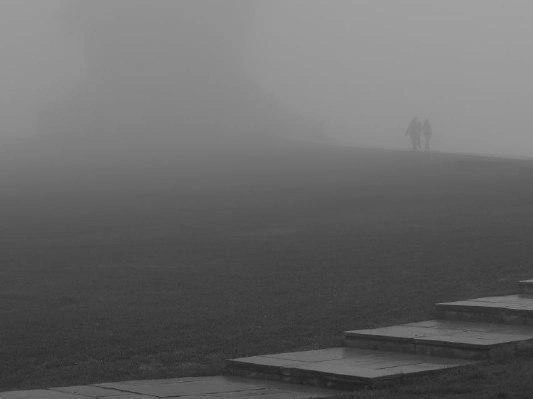 Настолько густой туман, что скрывает даже Родину-мать | Источник: Александр Киреев