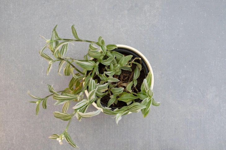 Источник: Hazrat Bilal / Legion Media