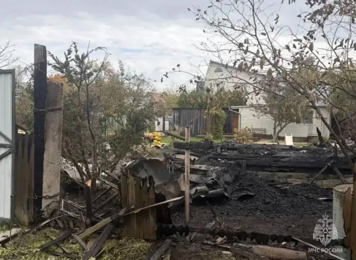 Женщина с ребенком погибли во время пожара в подмосковном СНТ: фото