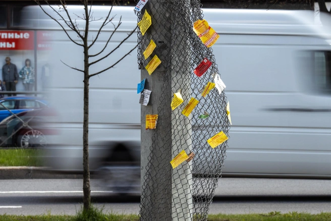 По таким объявлениям работу сейчас точно не ищут | Источник: Михаил Огнев / Fontanka.ru