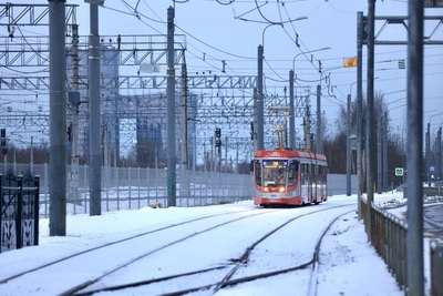 Петербург планирует четыре новые трамвайные линии