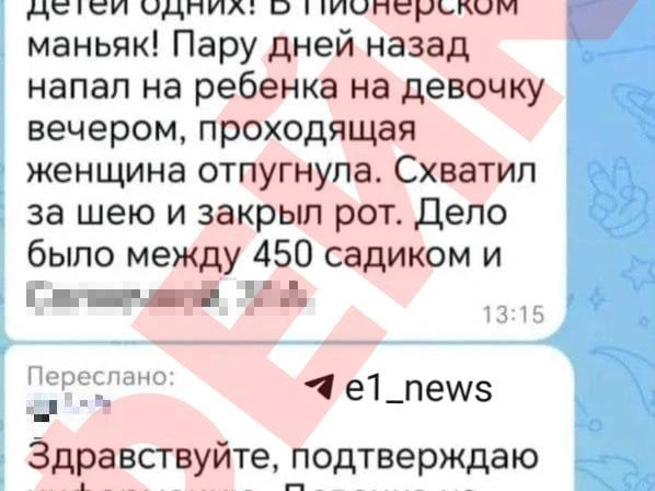 Силовики говорят, что в чатах рассылают ложную информацию | Источник: читатель E1.RU 