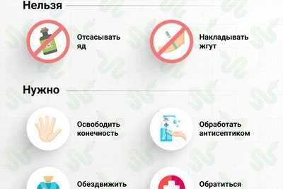 В Свердловской области проснулись змеи: дачникам стоит быть осторожными