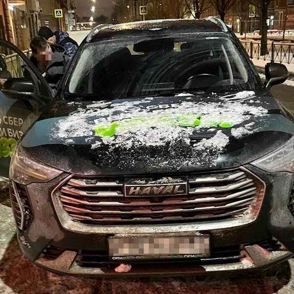 «Как себя чувствуем?» В центре Петербурга росгвардейцы задержали водителя каршеринга, которому было что скрывать | Источник: ГУ Росгвардии по Санкт-Петербургу и Лен.области/vk.com