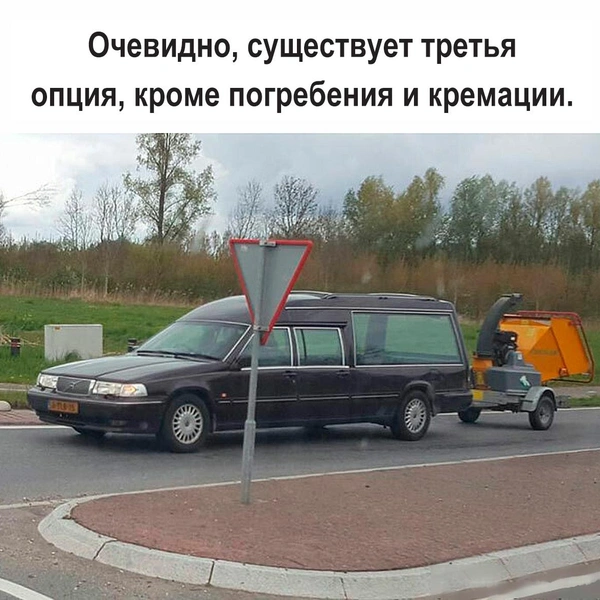 Самые смешные картинки с черным юмором за лето 2025 года | Источник: соцсети
