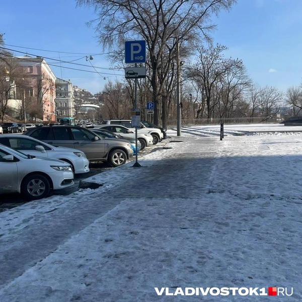 Источник: Елена Буйвол / VLADIVOSTOK1.RU