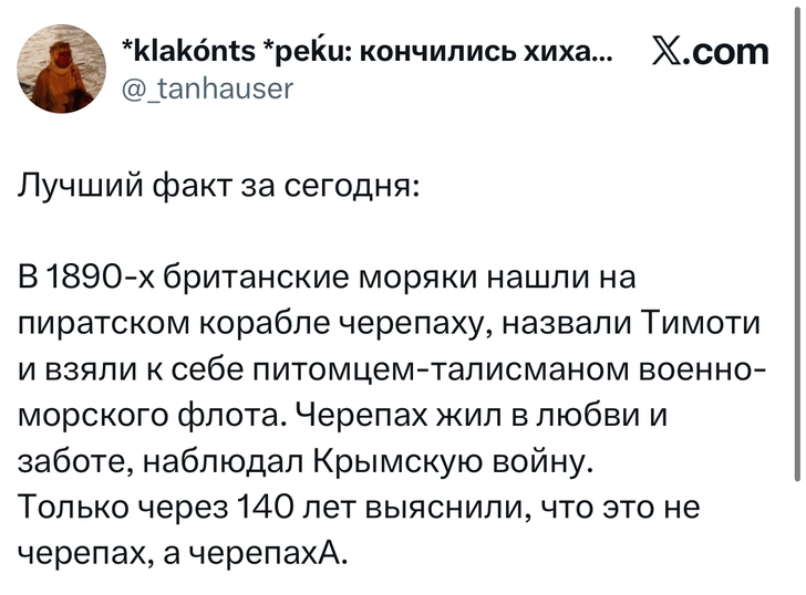 Источник: X (Twitter)