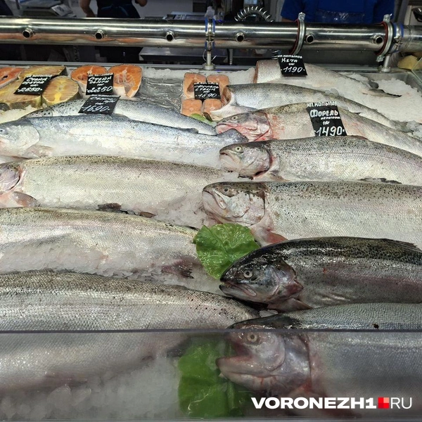 Источник: Алёна Воропаева / Voronezh1.ru