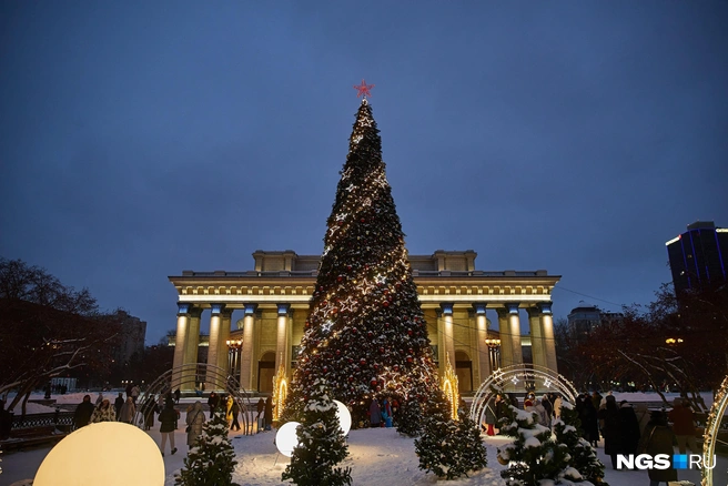 Высота новогодней ели составит 21 метр | Источник: Александр Ощепков / NGS.RU
