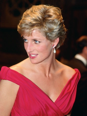 Принцесса Диана, 14 ноября 1990