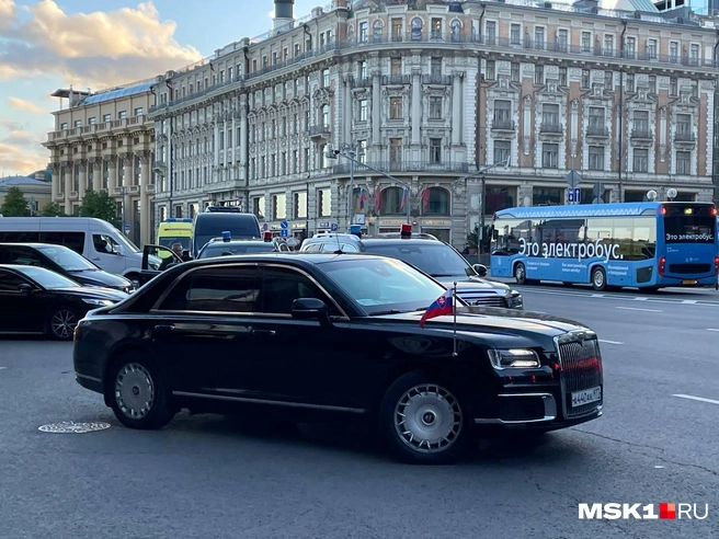 Источник: Вера Борисова / MSK1.RU
