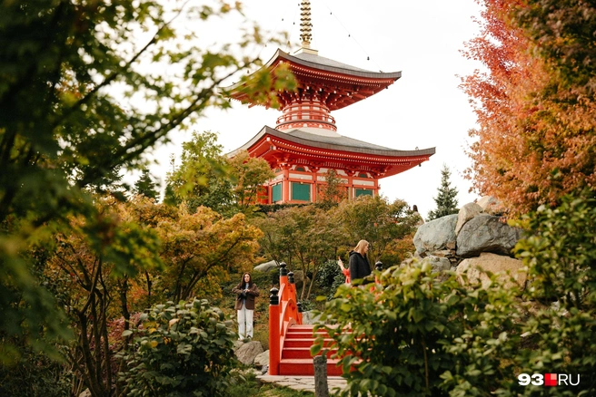 Японский сад узнает любой сибиряк | Источник: Дарья Паращенко / 93.RU