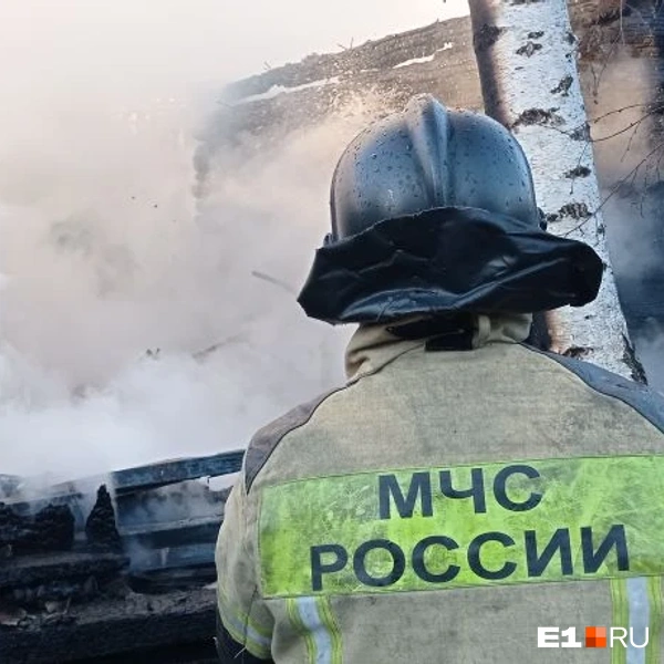 Источник: ИА «Ночные новости»