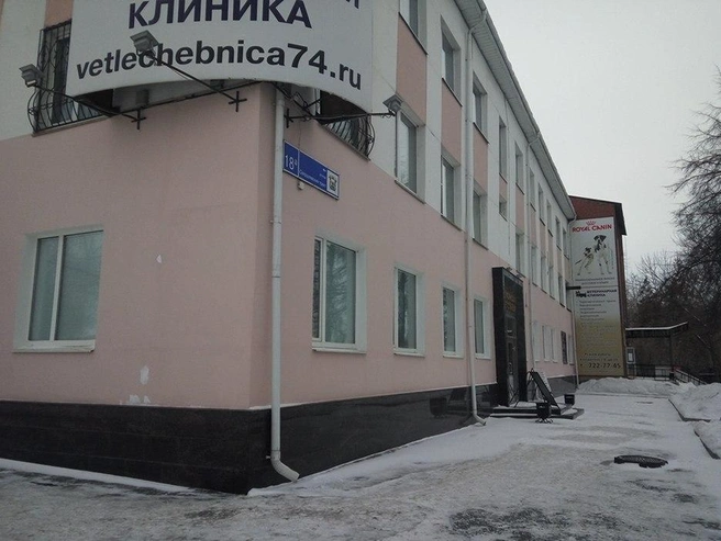 Записаться на вакцинацию можно в любую участковую ветеринарную лечебницу Челябинской ветстанции | Источник: Челябинская ветстанция