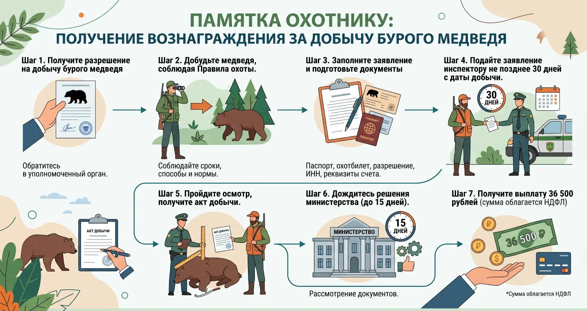Медведи по 36 500: в Красноярском крае за выплатой пришел 51 охотник