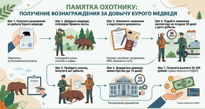 Источник: Министерство природных ресурсов и лесного комплекса Красноярского края / «Макс»