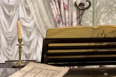 Free Museum Entry and Ice Rinks for Tatiana's Day in St. Petersburg