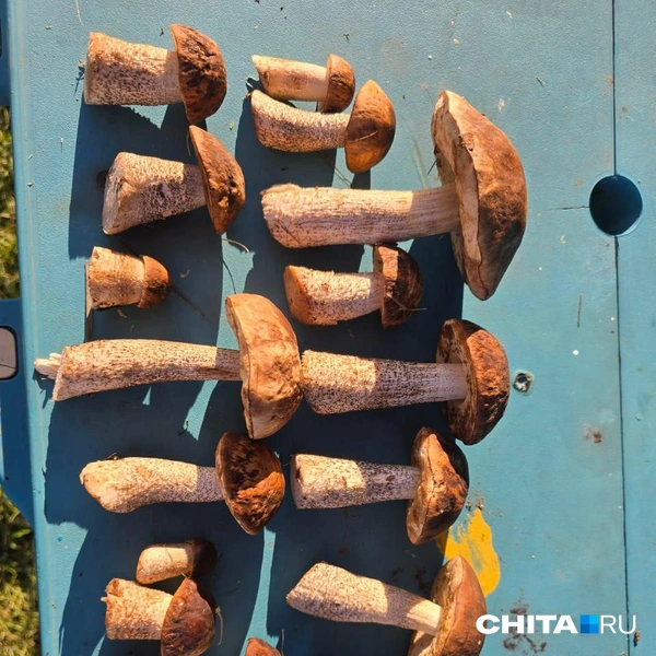 Источник: очевидец