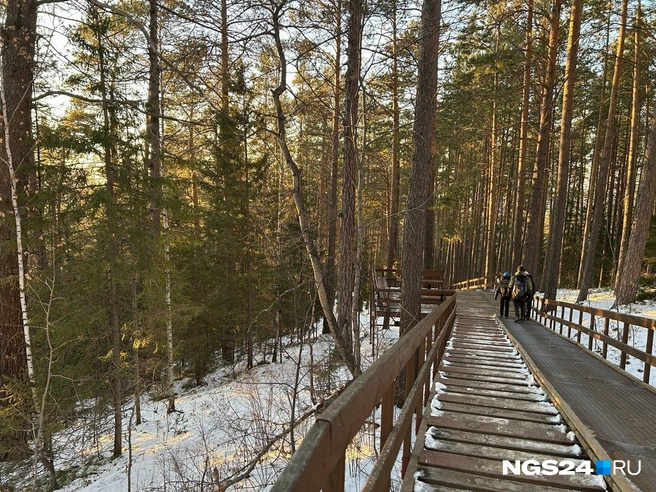 Настил отнял часть лестницы | Источник: Алексей Тайганавт / NGS24.RU