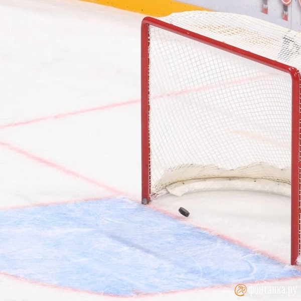 Источник: Сергей Михайличенко / «Фонтанка.ру»