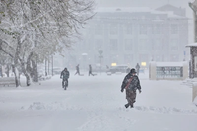 Снег в Новосибирске превысил норму на 150%