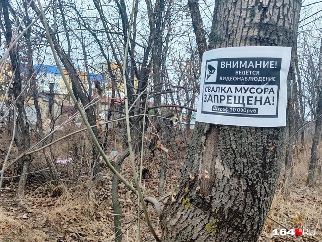 Объявление, которое предупреждает | Источник: Сергей Гендин / 164.RU