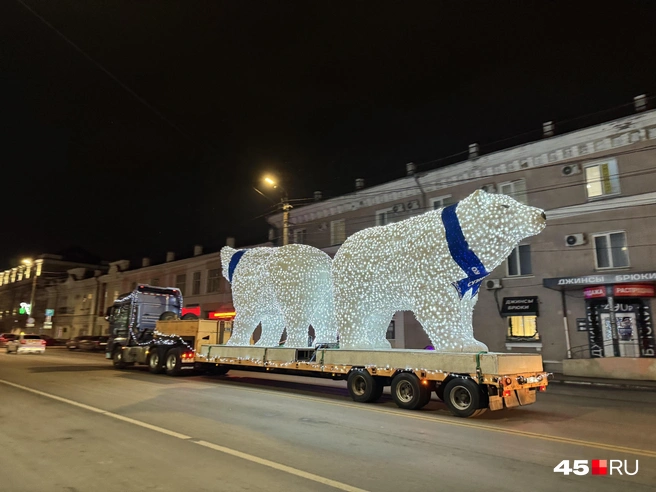 Источник: Юлия Король / 45.RU