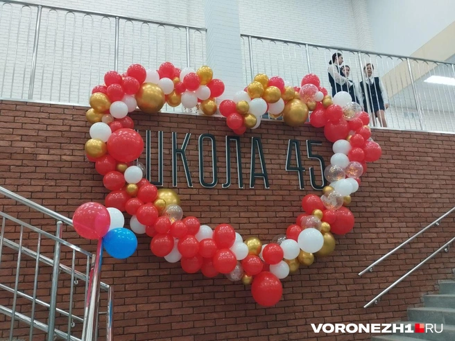 Источник: Дмитрий Волгин / Voronezh1.ru