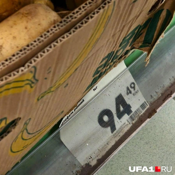 Источник: Булат Салихов / UFA1.RU